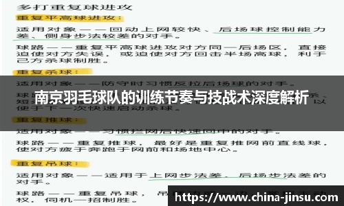 南京羽毛球队的训练节奏与技战术深度解析